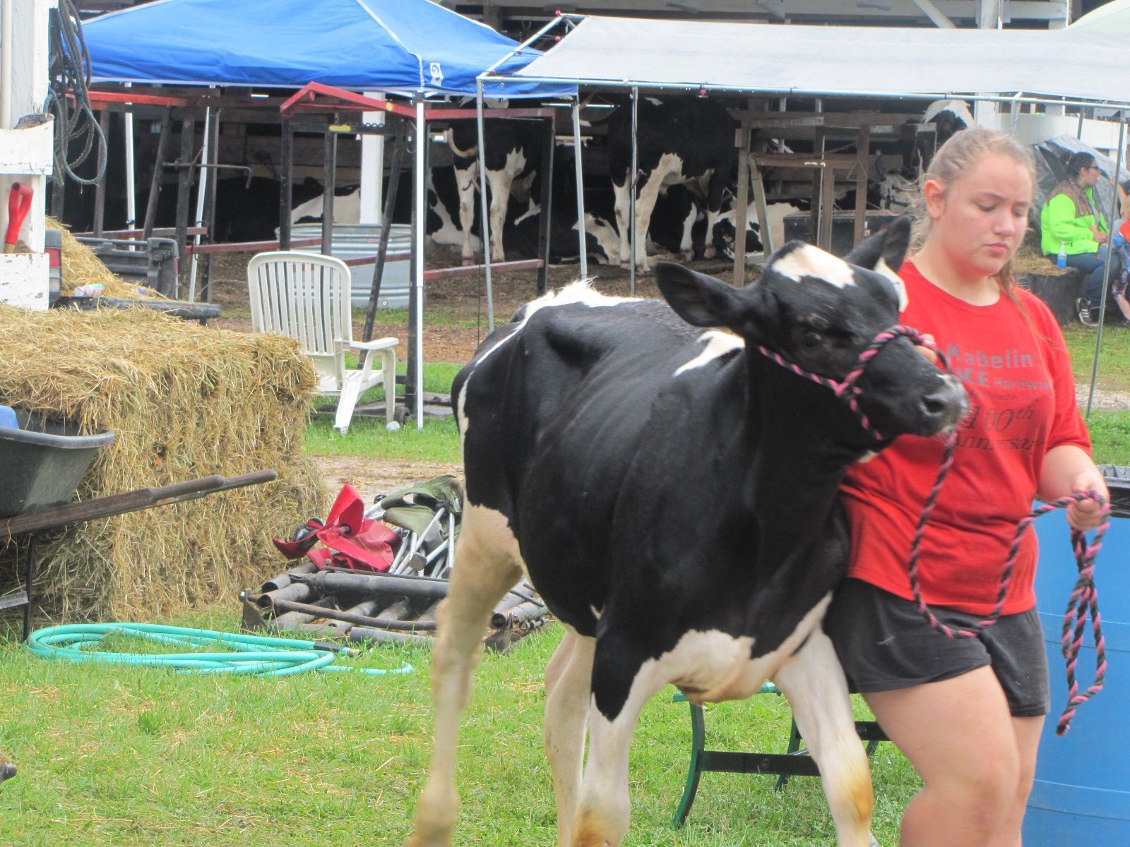 Werner crowned queen at LaPorte County Fair